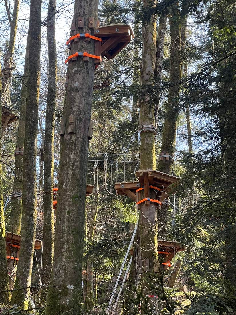 Parcours accrobranche dans les arbres du Schlossberg