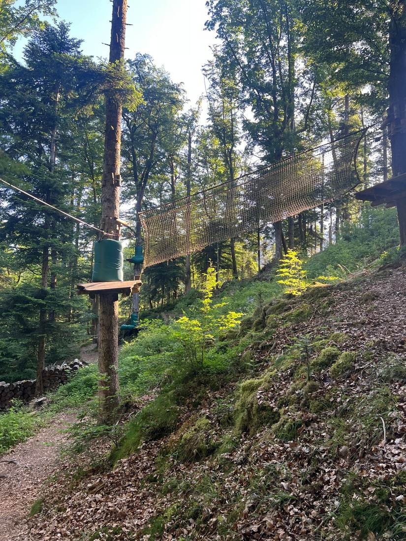 Parcours accrobranche dans les arbres du Schlossberg