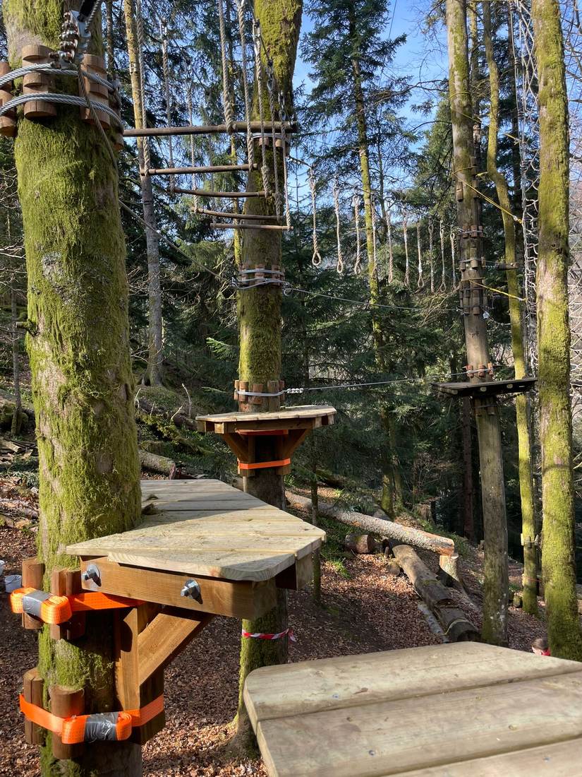 Parcours accrobranche dans les arbres du Schlossberg