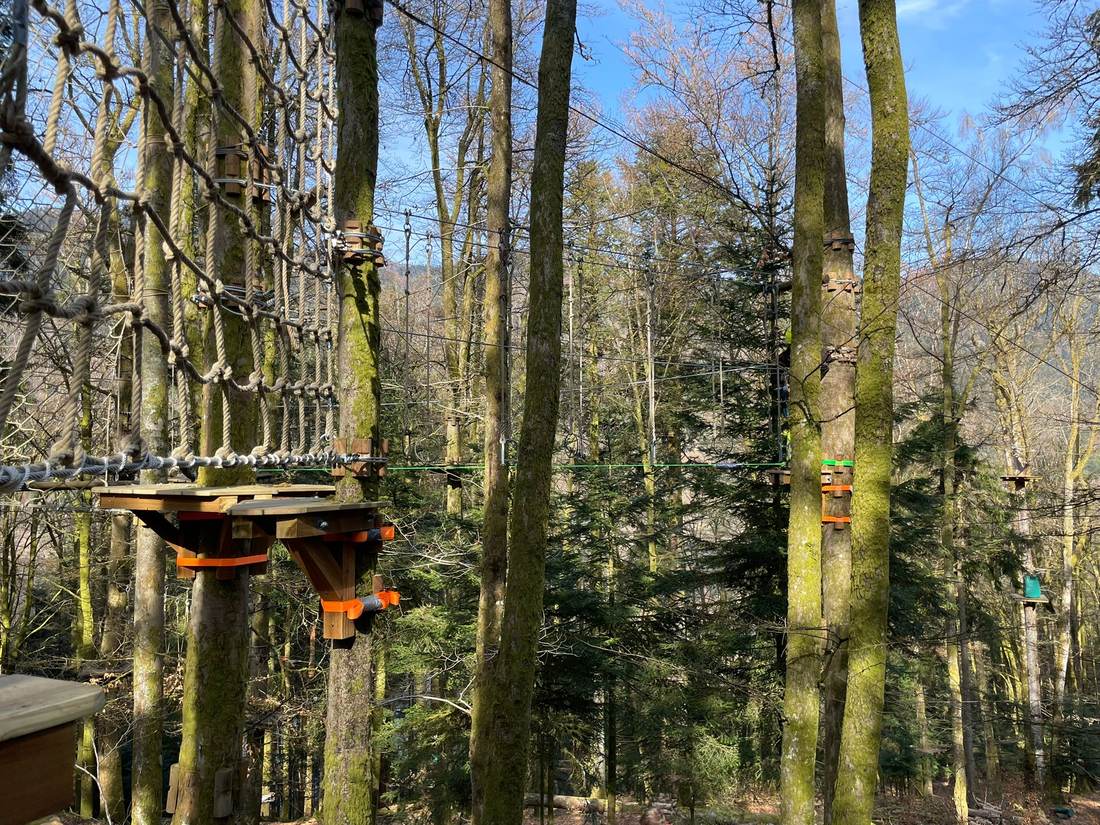 Parcours accrobranche dans les arbres du Schlossberg