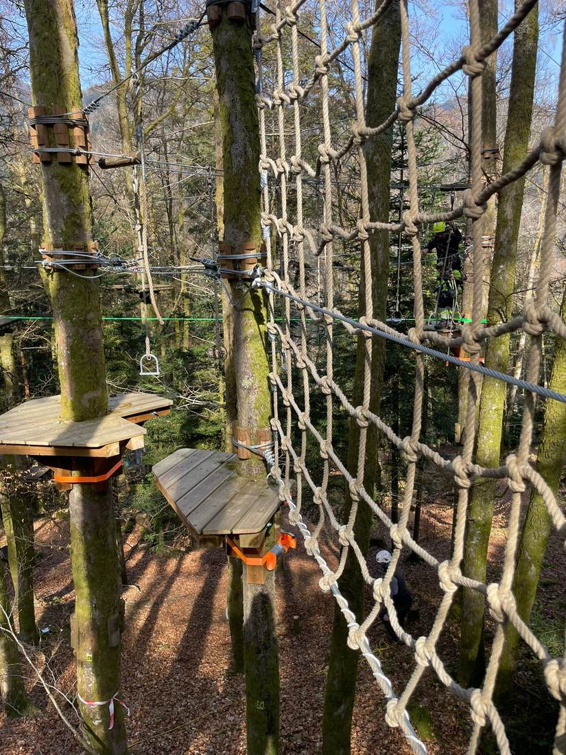 Parcours accrobranche dans les arbres du Schlossberg