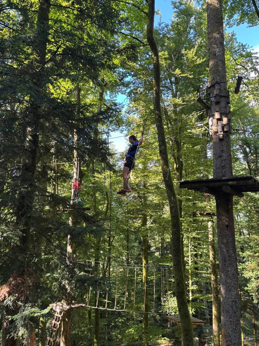 Parcours accrobranche dans les arbres du Schlossberg