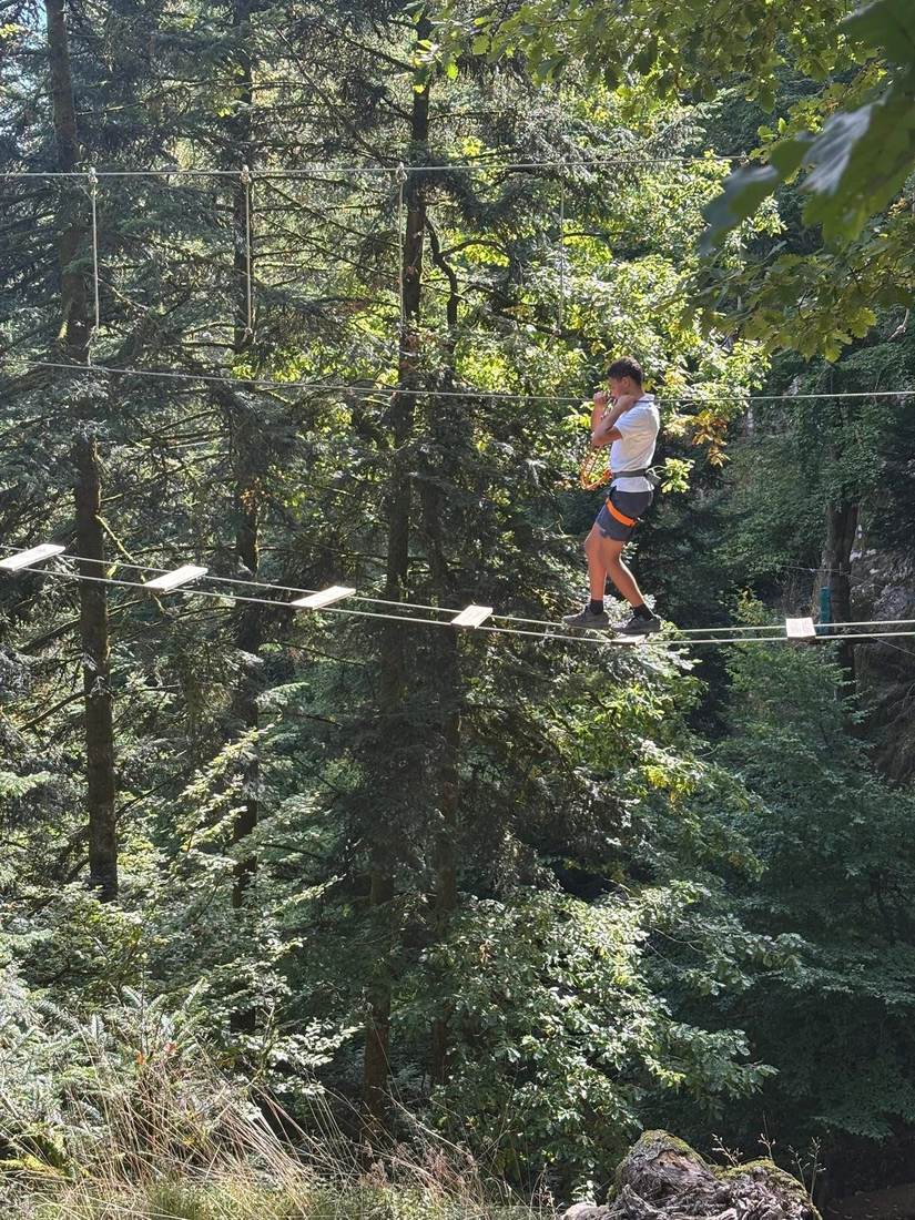 Parcours accrobranche dans les arbres du Schlossberg