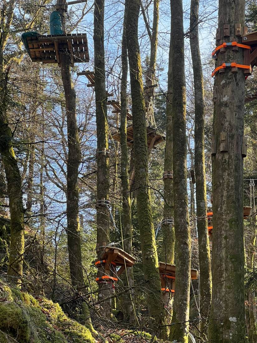 Parcours accrobranche dans les arbres du Schlossberg