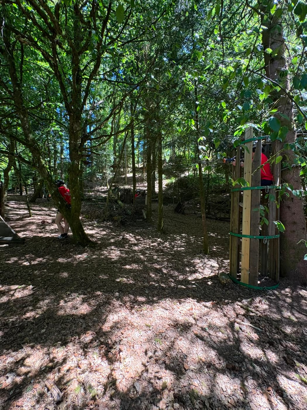 Partie de Laser'Aventure en forêt