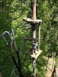 Plateforme d'atelier en hauteur avec point d'ancrage, sur un parcours dans les arbres